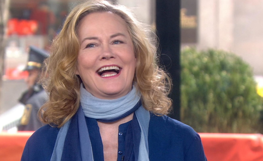 Cybill Shepherd's Career